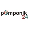 Balony karnawałowe – Pomponik24
