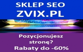 Pozycjonowanie strony Zvix.pl
